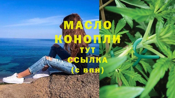молекула духа Волоколамск